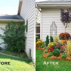 WhatsApp Image 2025-12-08 at 11.59.19 PM